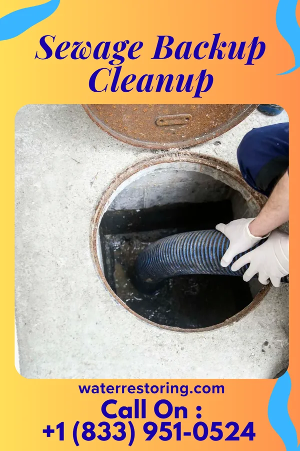 Sewage Backup Cleanup in Tipton, KS